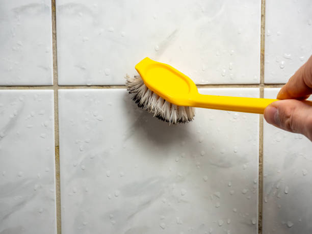 Best Emergency Mold Remediation in Romoland, CA